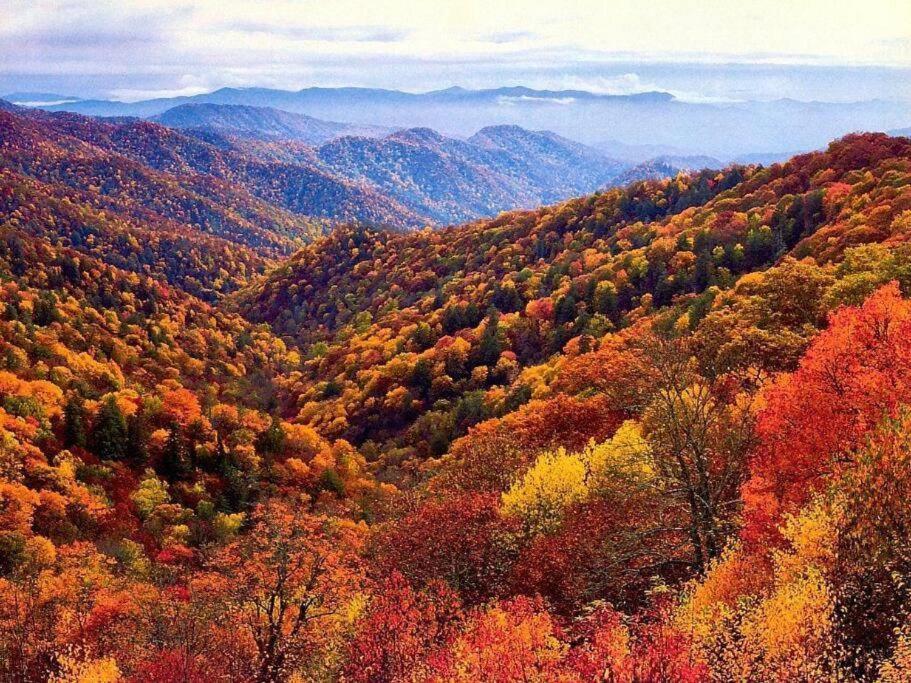 Whiskey Ridge Lodge, A Restored 1940S Gem, 2 Mins From Downtown, Breathtaking City Views, Custom Game Room, And Spacious Elegance Gatlinburg Dış mekan fotoğraf